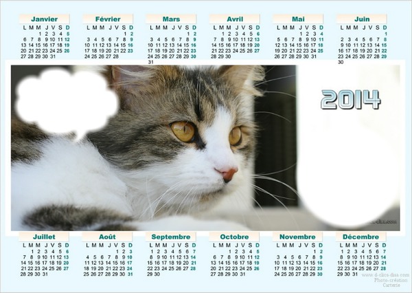 calendrier chats 2014 Photo frame effect