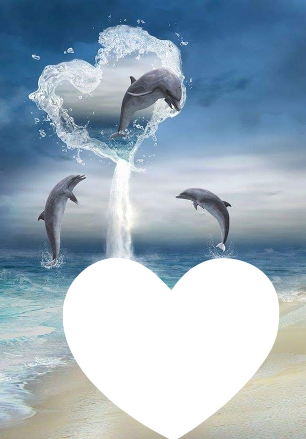 Amour de dauphin isabella Photo frame effect