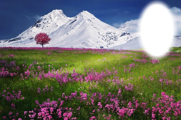 Virágos rét hegyel Fotomontasje