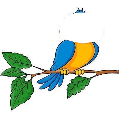 oiseau Valokuvamontaasi