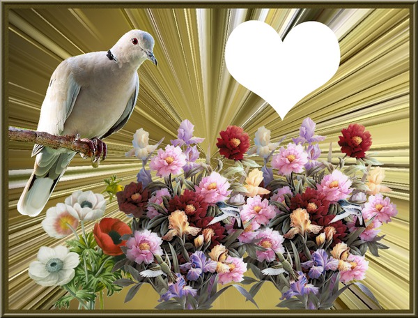 fleurs et pigeon フォトモンタージュ