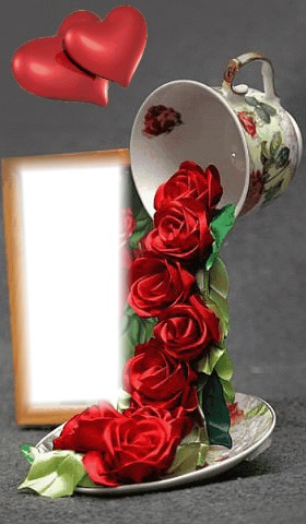Roses Fotomontaż