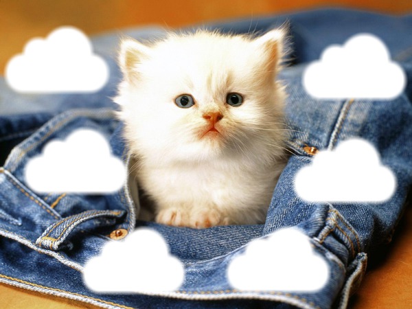 Little cat ♥ Fotomontažas