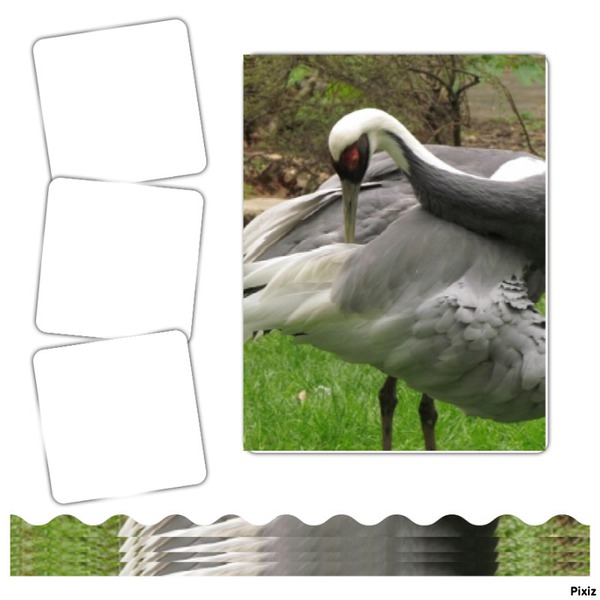 l'oiseau gris Fotomontaggio