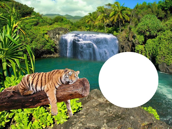Naturaleza Cascada del Tigre Fotomontaggio