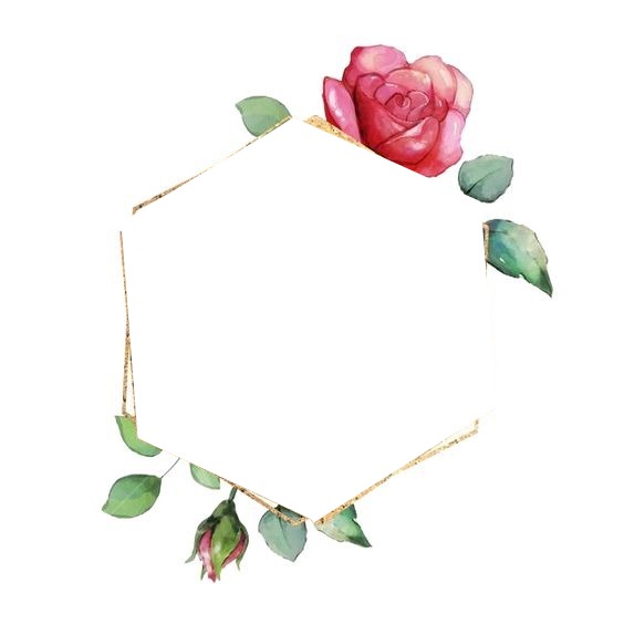 Hexágono y una rosa. Fotomontage