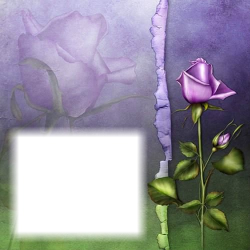 Fleur mauve-rose-amour Photo frame effect