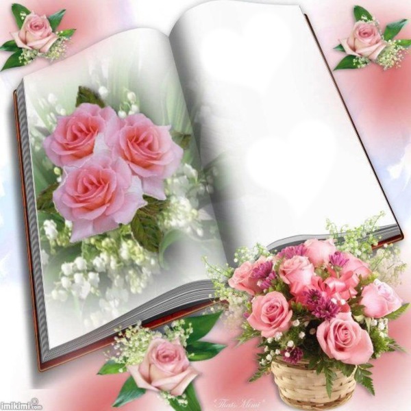 livre rose Photomontage