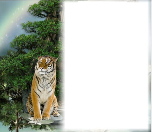 tigris Montaje fotografico
