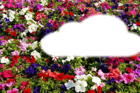 sobre un colchón de flores Photomontage