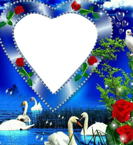corazon con cisnes Fotomontage
