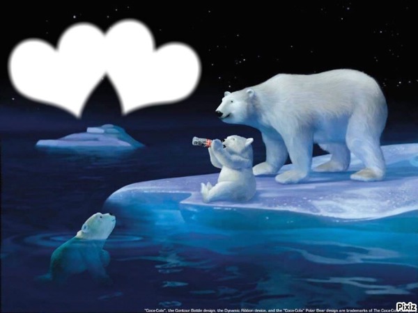 ours polaire Montaje fotografico