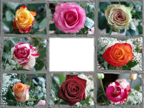la beautée des roses Montaje fotografico