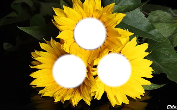 bouquet soleil** Photomontage