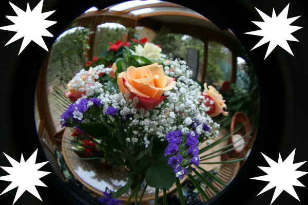 fleures dans l'epace Photo frame effect