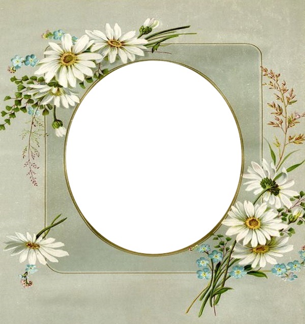 marco y flores blancas. Fotomontaggio