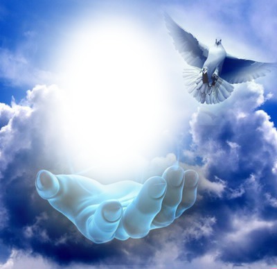 #bluesky, #God'shand; #thepeace of pigeon Montage photo