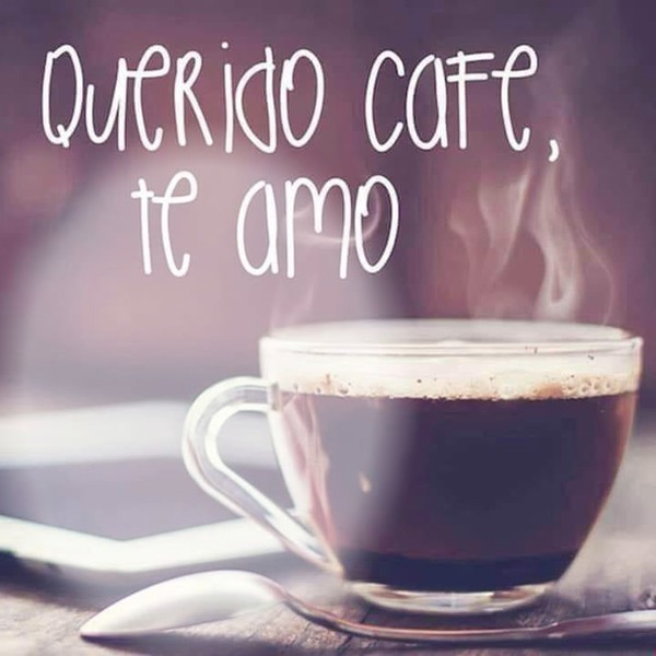 renewilly querido cafe Montage photo
