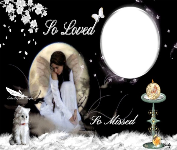 so loved ' so missed Montage photo