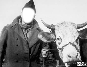 la vache et le prisonnier Фотомонтажа