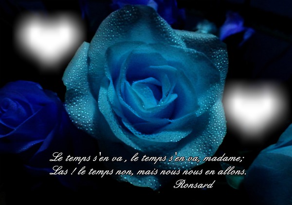 Rose bleue et citation de Ronsard Montage photo