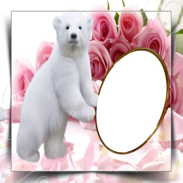 fond de rose avec un ours tenant cadre ovale pour la photo フォトモンタージュ