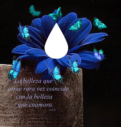 Flor azul con mariposas Fotomontage
