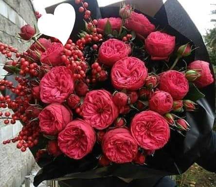 Bouquet de fleurs roses Φωτομοντάζ