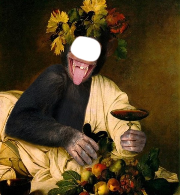 majmun Fotomontaža