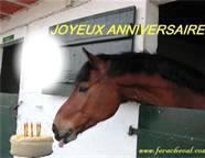 joyeux anniversaire chevaux Montaje fotografico