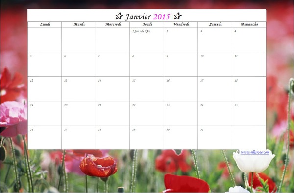 calendrier janvier 2015 Fotomontagem