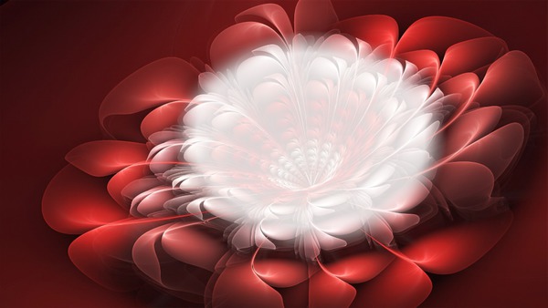 Awesome Rose Photomontage