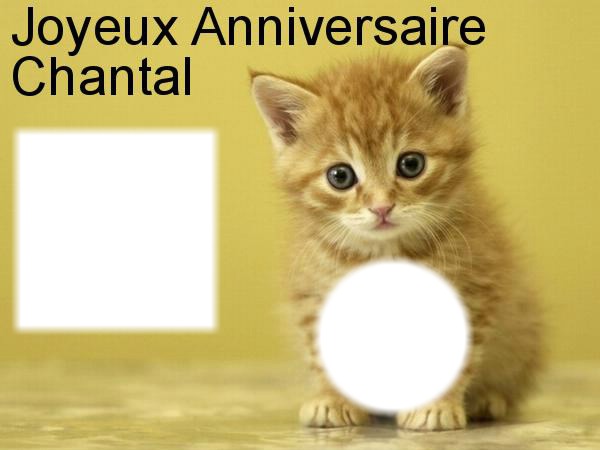 Joyeux anniversaire Chantal Montage photo