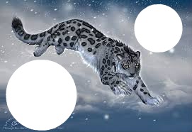leopard フォトモンタージュ