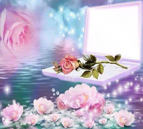 flores rosas Photomontage