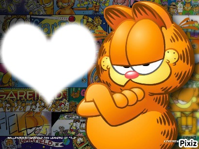 Garfield フォトモンタージュ