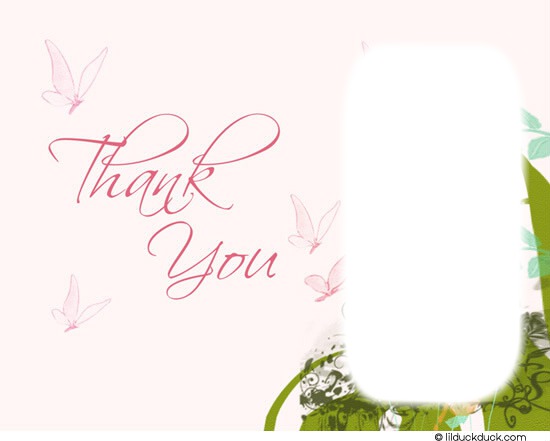 Thank you butterfly frame Montage photo