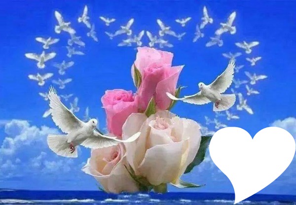 colombes avec roses 1 photo Фотомонтаж