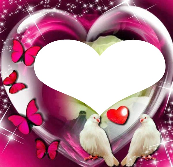 2 colombes avec 4 papillons et un coeur 1photo Photo frame effect