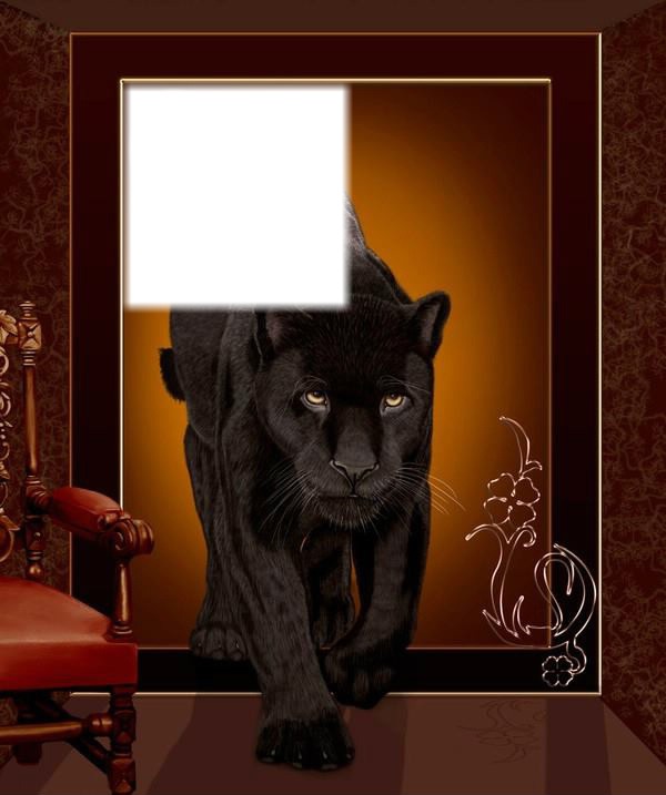 panthere noir Photomontage