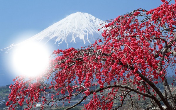 Le mont fudji 'Japon' Φωτομοντάζ