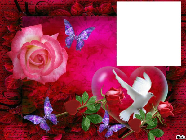 Rosas Fotomontage