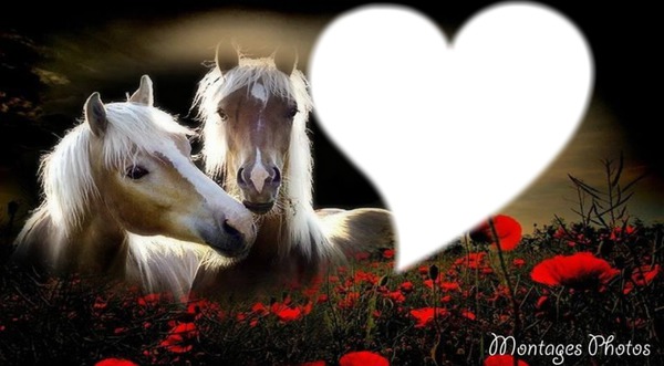 chevaux en fleurs Photomontage