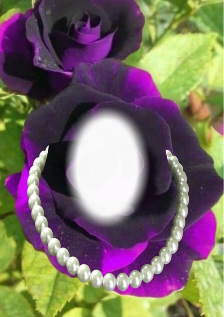 Cc Rosa con perlas Photo frame effect