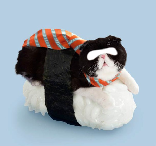 Sushi cat Φωτομοντάζ