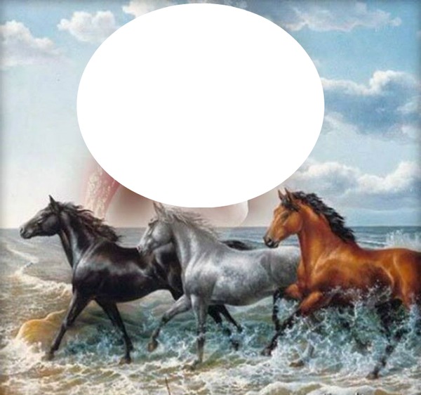 3 chevaux sur la plage 1 photo フォトモンタージュ