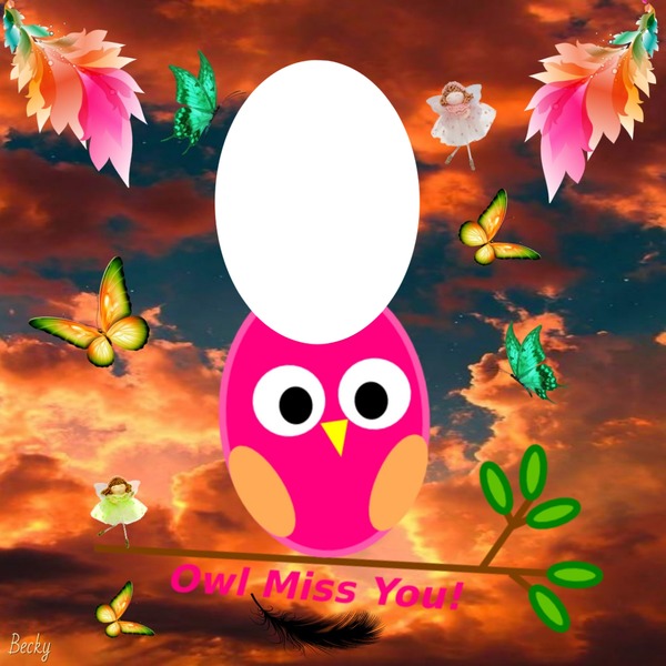 owl miss you Montage photo