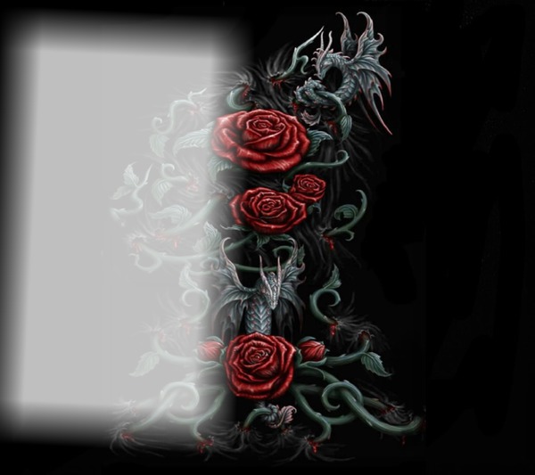 Love roses Fotomontage