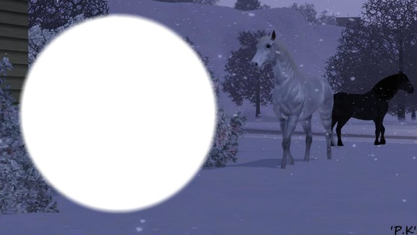 konie z sims 3 2 Photo frame effect