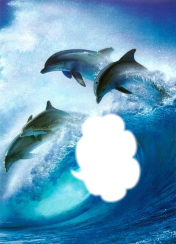 les dauphins Fotomontaža